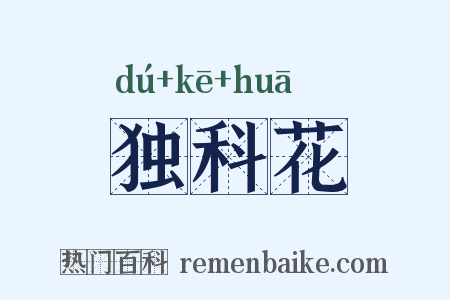 独科花是什么意思的图片